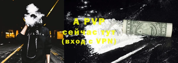 крисы Балахна