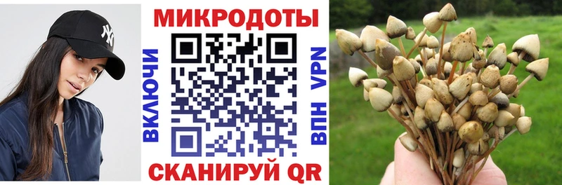 как найти закладки  Янаул  Псилоцибиновые грибы Cubensis 
